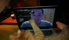 男同网站视频,视频中的真实情感与生活片段